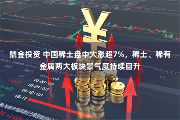 鼎金投资 中国稀土盘中大涨超7%，稀土、稀有金属两大板块景气度持续回升
