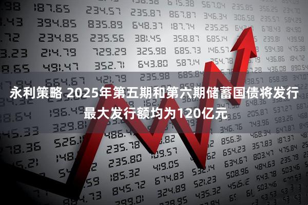 永利策略 2025年第五期和第六期储蓄国债将发行 最大发行额均为120亿元