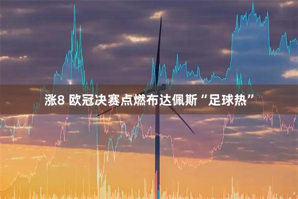 涨8 欧冠决赛点燃布达佩斯“足球热”