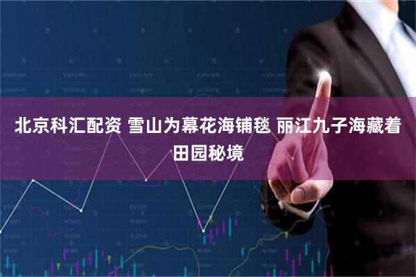 北京科汇配资 雪山为幕花海铺毯 丽江九子海藏着田园秘境
