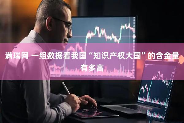 满瑞网 一组数据看我国“知识产权大国”的含金量有多高
